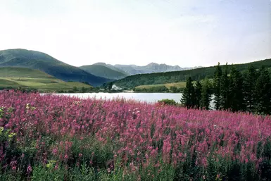 le lac de Guéry